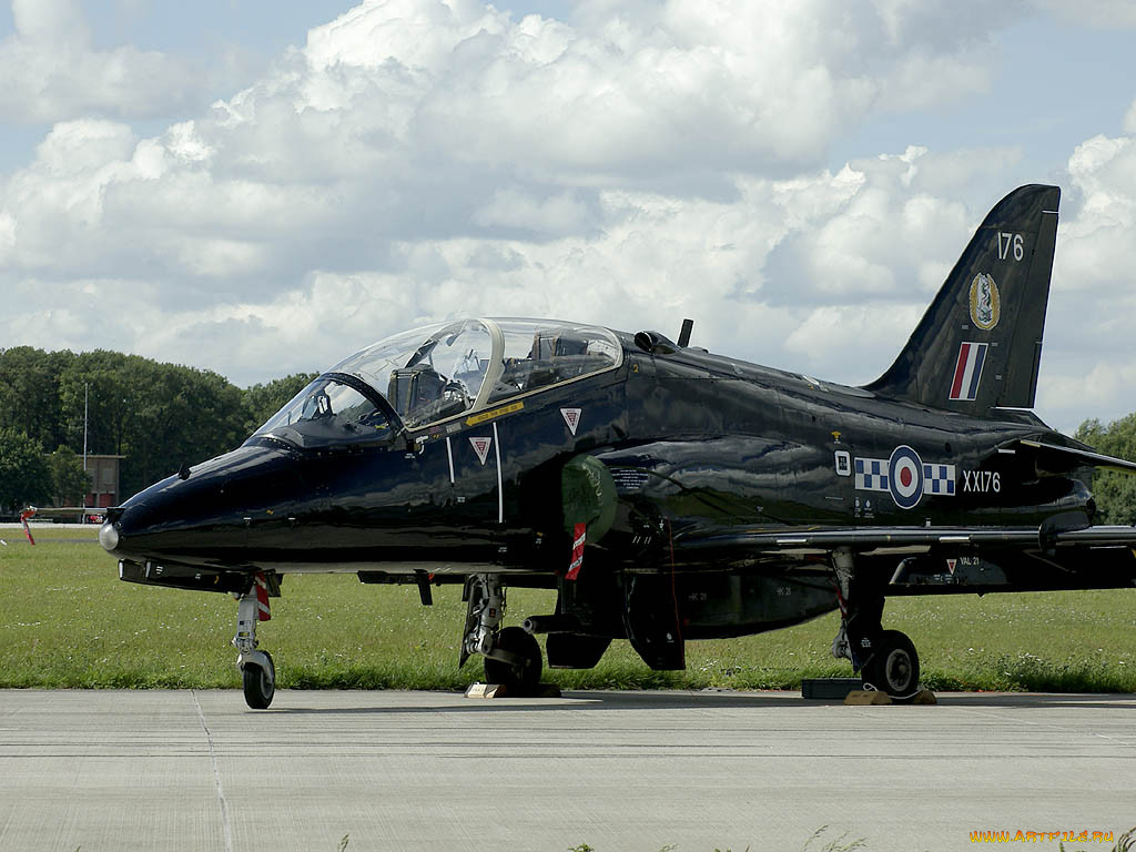vlk, hawk, , , 